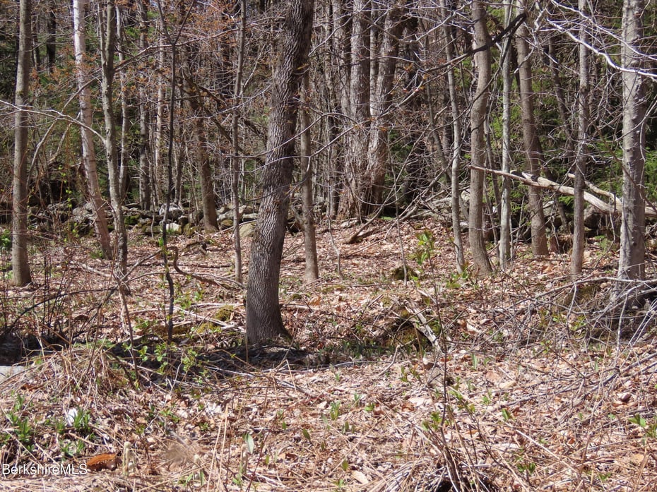 Blackstone Rd Photo 12