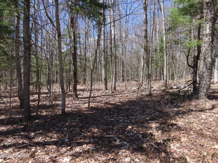 Blackstone Rd Photo 6