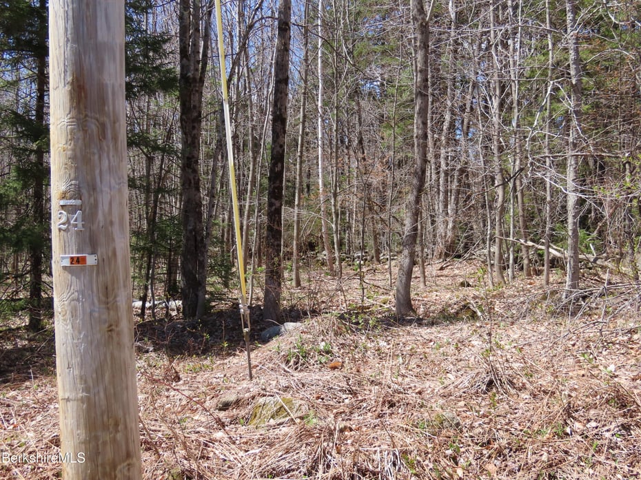 Blackstone Rd Photo 9