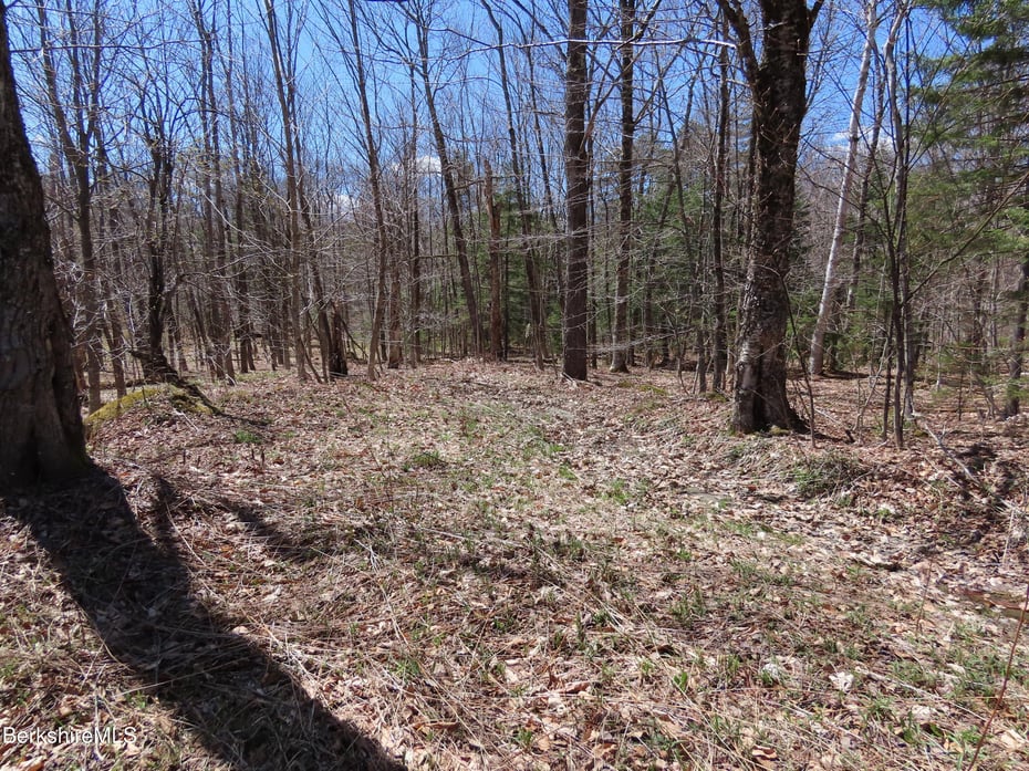 Blackstone Rd Photo 13