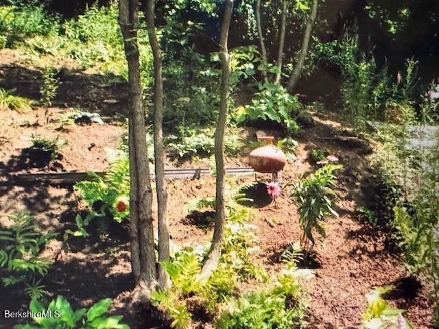 40 Prospect Hill Rd Photo 44