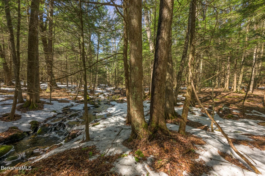 545 W Center Rd Photo 51