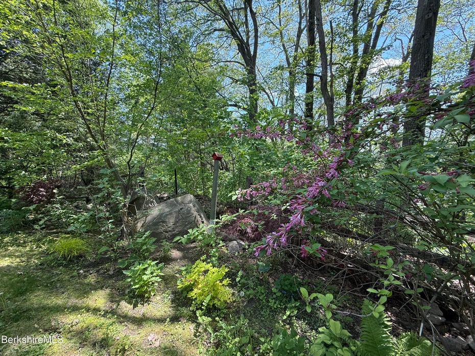 6 Beacon Hill Photo 46