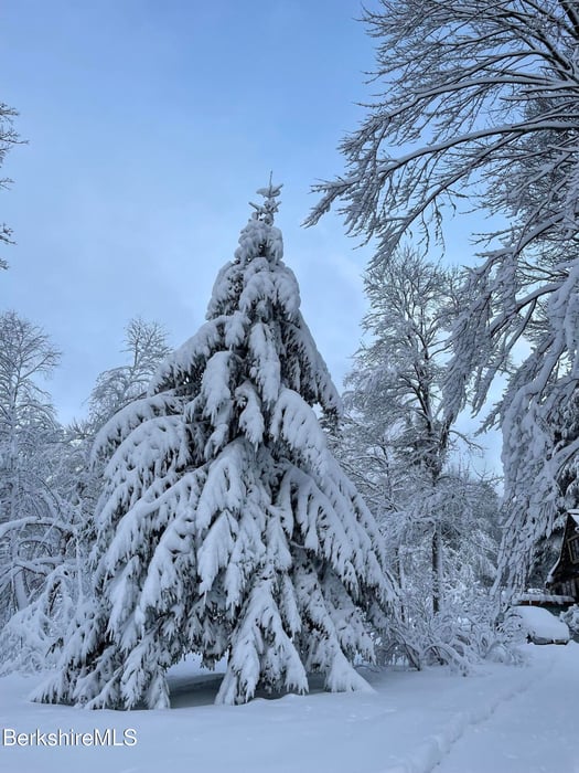 13 Jordan Rd Photo 38