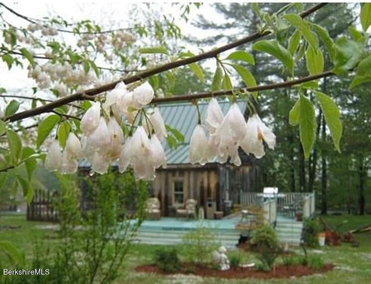 13 Jordan Rd Photo 42