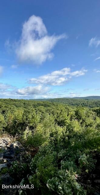 26A Stonebridge Way Photo 43