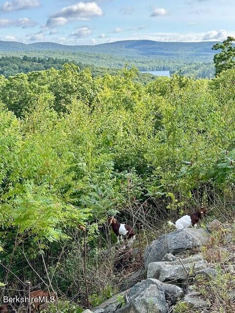 26A Stonebridge Way Photo 41