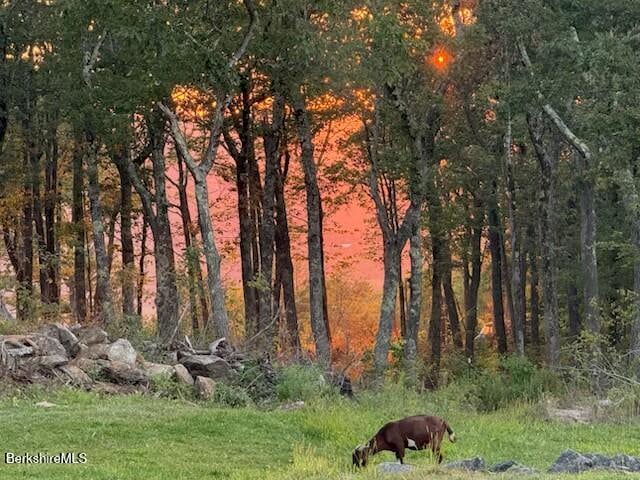 26A Stonebridge Way Photo 59