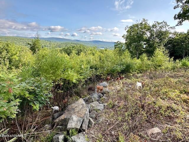 26A Stonebridge Way Photo 40