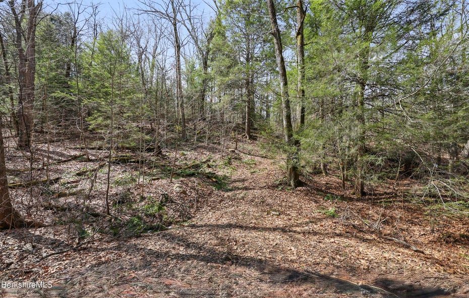 8 Hemlock Rd Photo 2