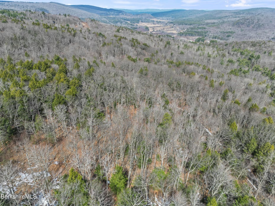 8 Hemlock Rd Photo 12