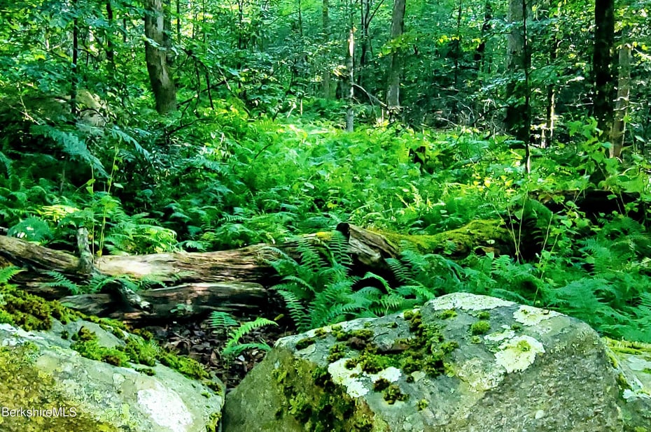 Lot 2 Leland Rd Photo 3