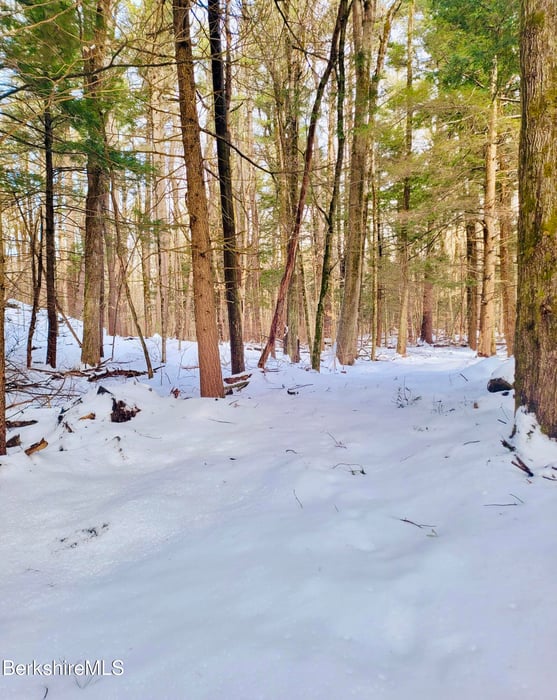 Lot 2 Leland Rd Photo 12