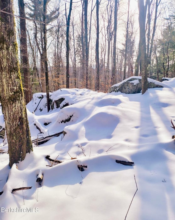 Lot 2 Leland Rd Photo 20