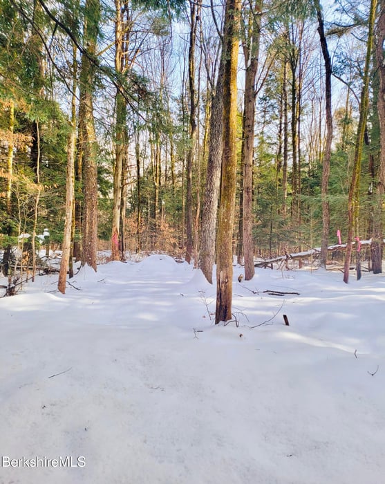 Lot 2 Leland Rd Photo 15