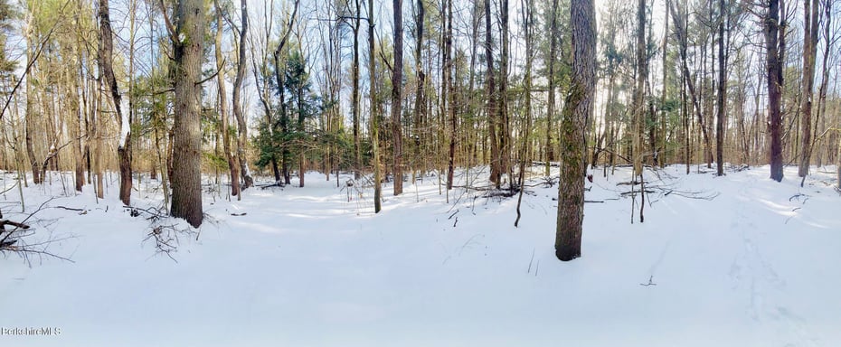 Lot 2 Leland Rd Photo 18