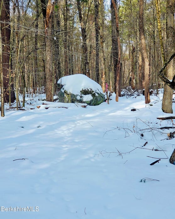 Lot 2 Leland Rd Photo 16