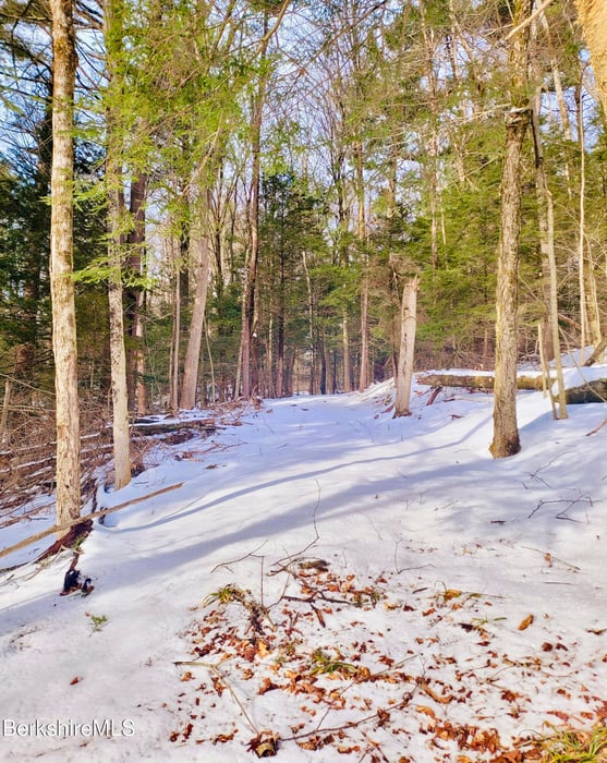 Lot 2 Leland Rd Photo 11