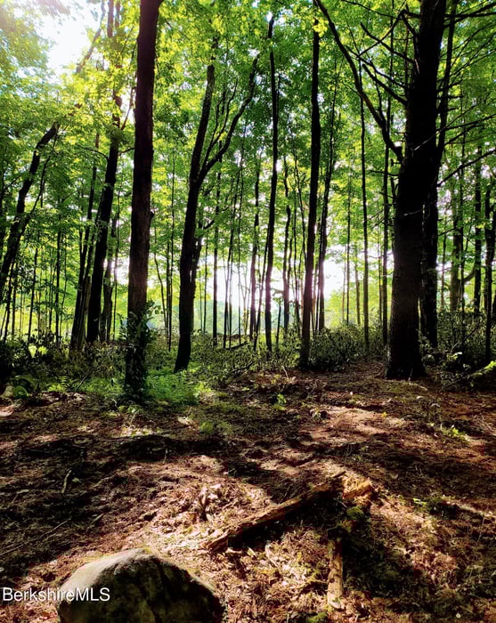 Lot 2 Leland Rd Photo 6