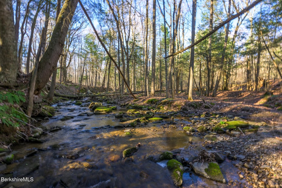 140 Beartown Mountain Rd Photo 48