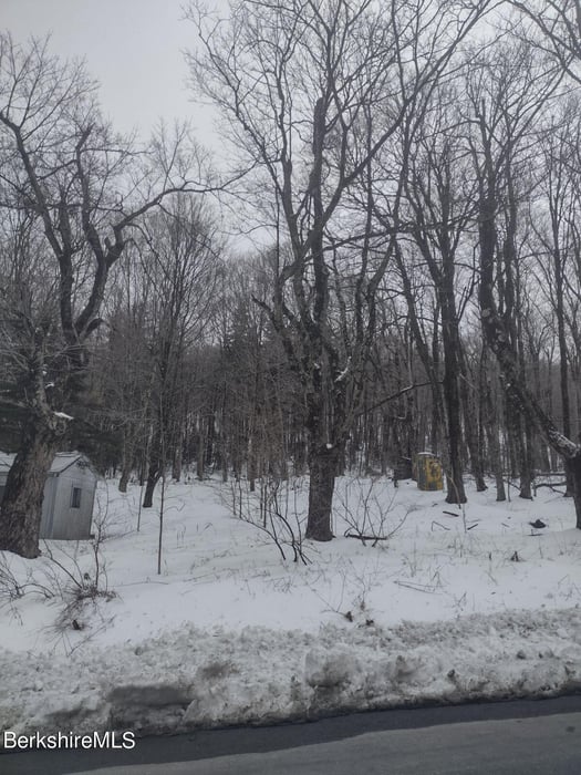 Tilda Hill Rd Photo 7