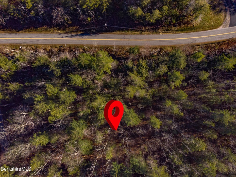 0 Goose Pond Rd Photo 19