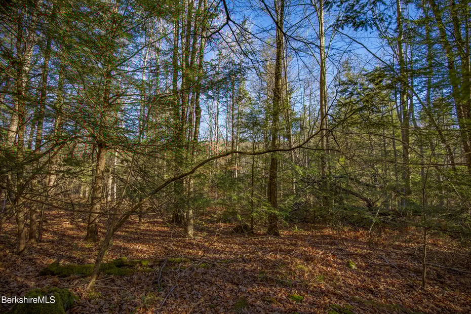 0 Goose Pond Rd Photo 3