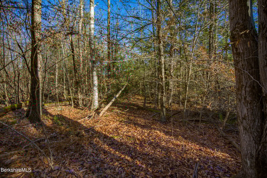 0 Goose Pond Rd Photo 16