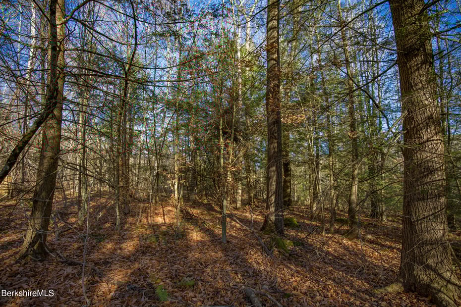 0 Goose Pond Rd Photo 13