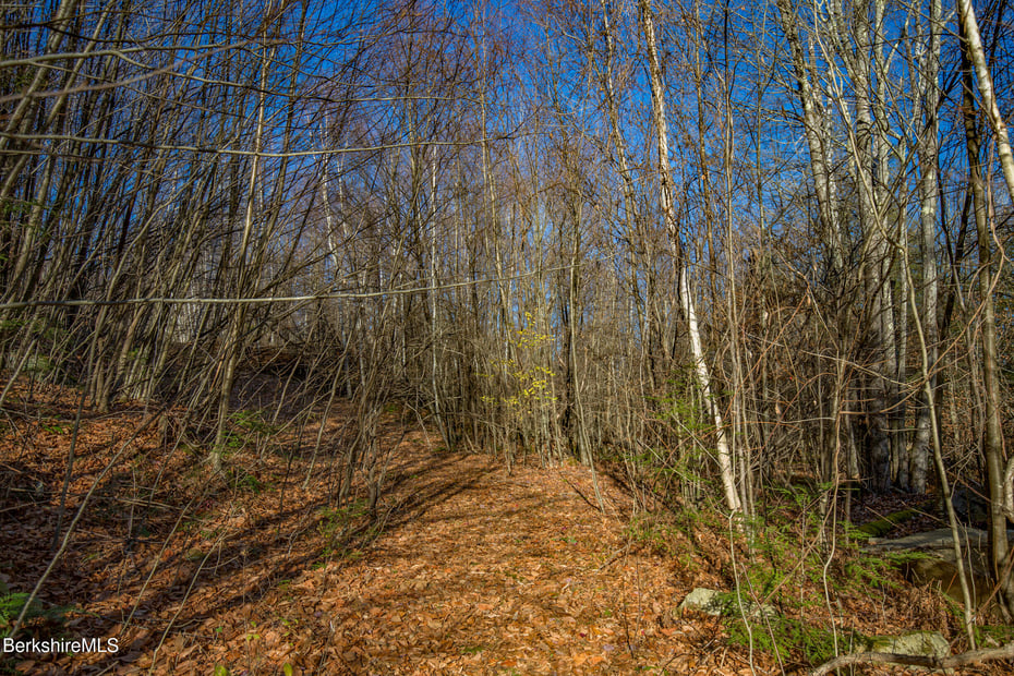 0 Goose Pond Rd Photo 17