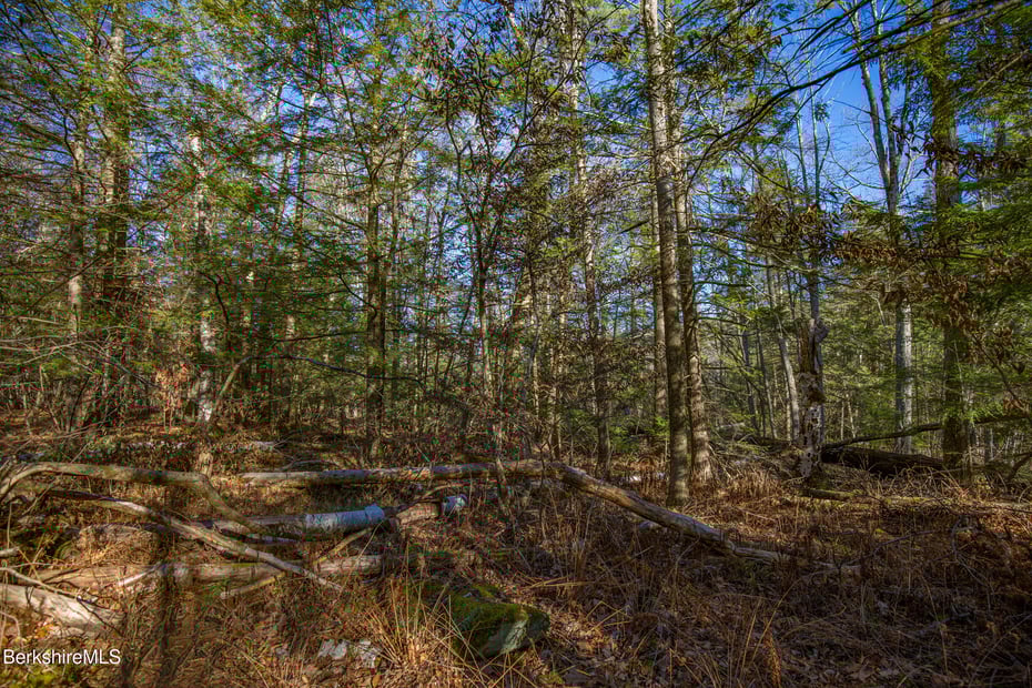 0 Goose Pond Rd Photo 12