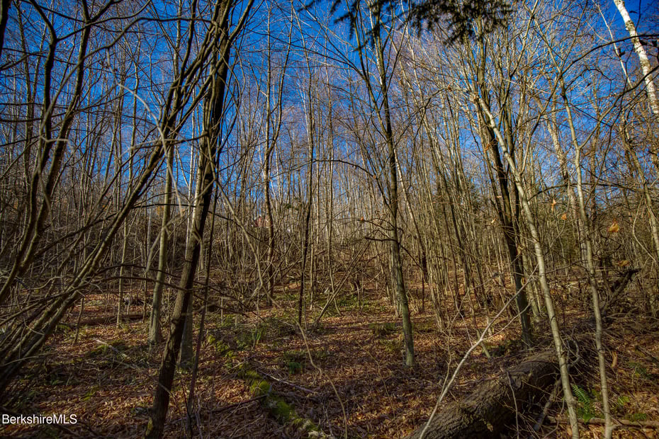 0 Goose Pond Rd Photo 14