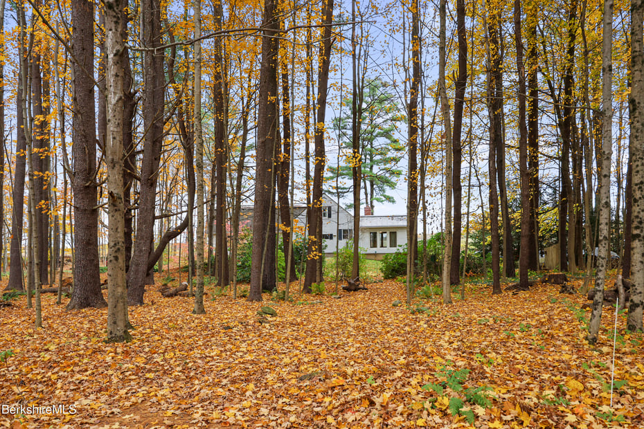 1772 Swamp Rd Photo 50