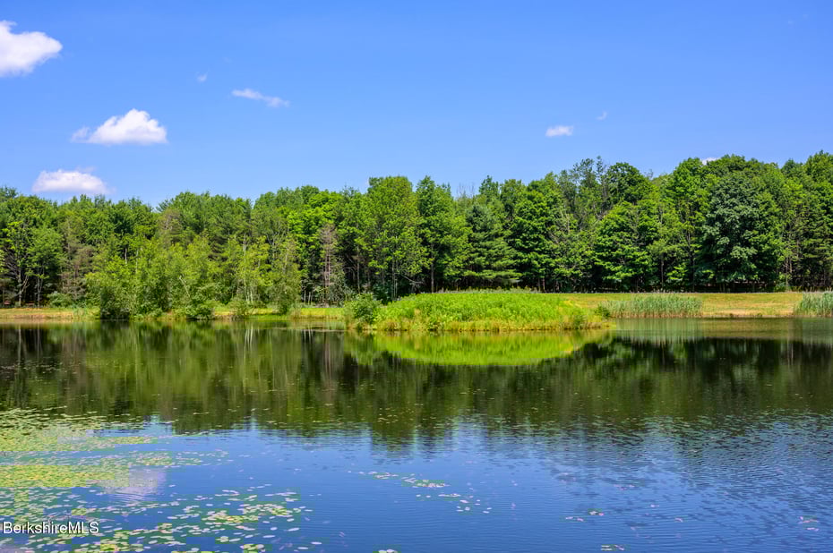 105 Norton Rd Photo 6