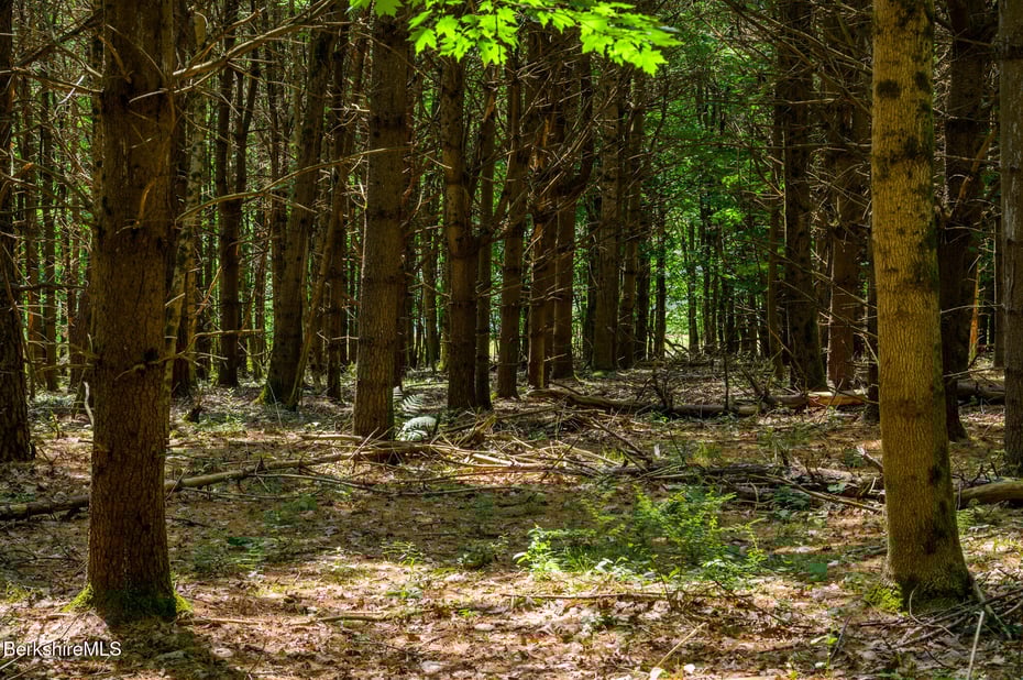 105 Norton Rd Photo 9