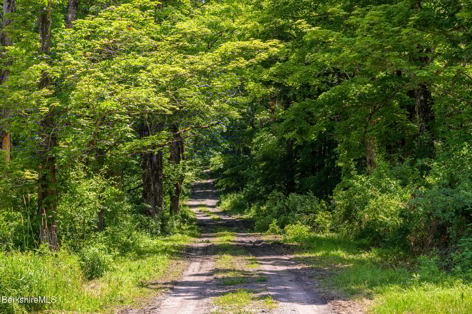 105 Norton Rd Photo 7