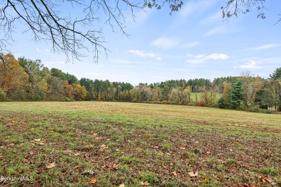 20 Sheffield Egremont Rd Photo 60