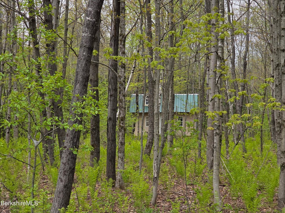 51 Bog Pond Rd Photo 40