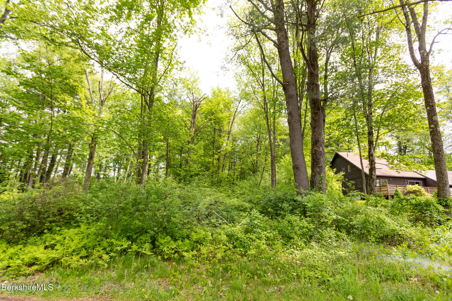48 Canterbury Ln Photo 37