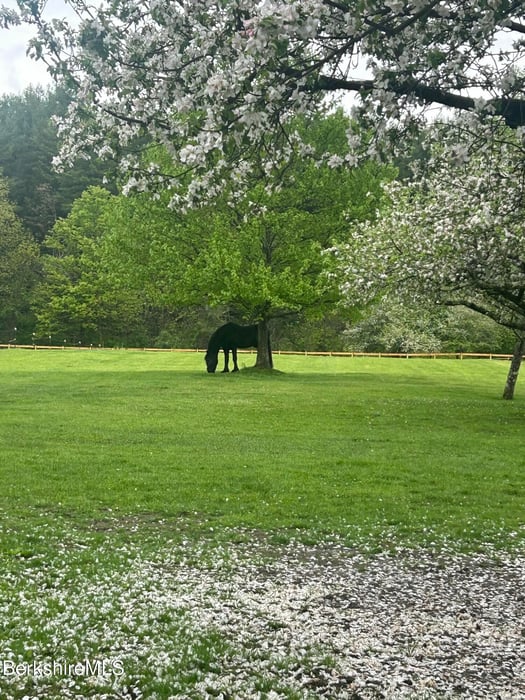 302A Egremont Plain Rd Photo 62