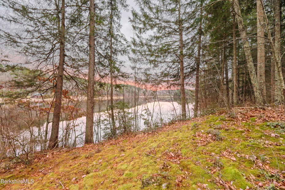 141 Stevens Lake Way Photo 78