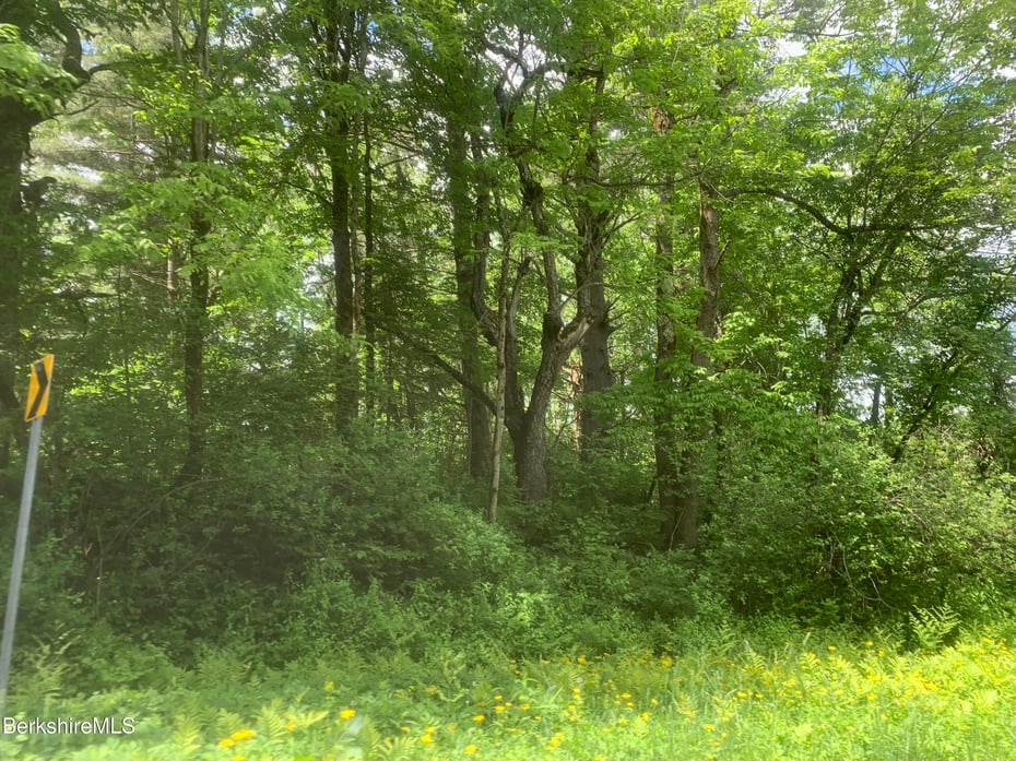 E Windsor Rd Photo 1