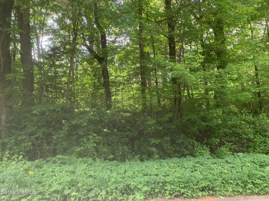 E Windsor Rd Photo 2