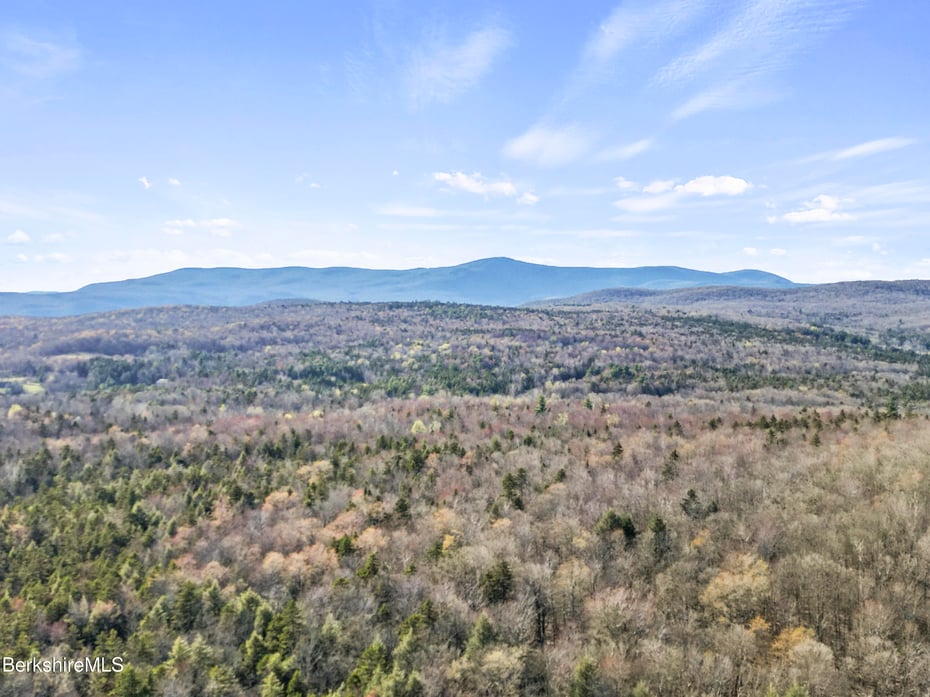 141 Griffin Hill Rd Photo 53