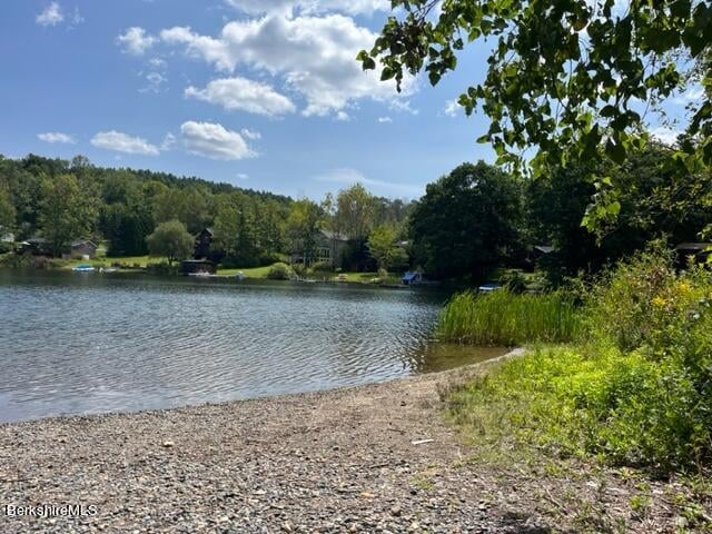 0 Goose Pond Rd Photo 5