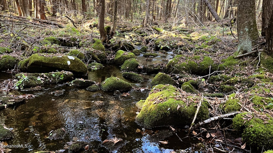 Lot1 Marcy Rd Photo 4