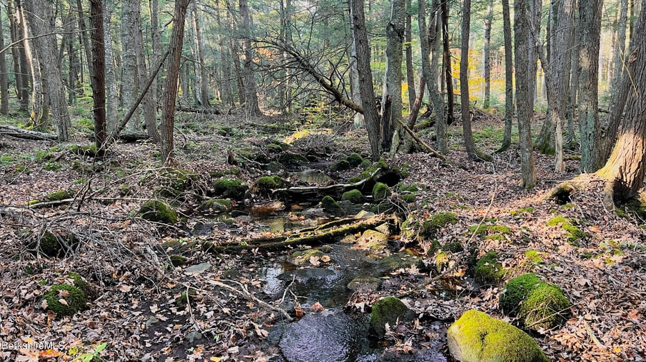 Lot1 Marcy Rd Photo 3