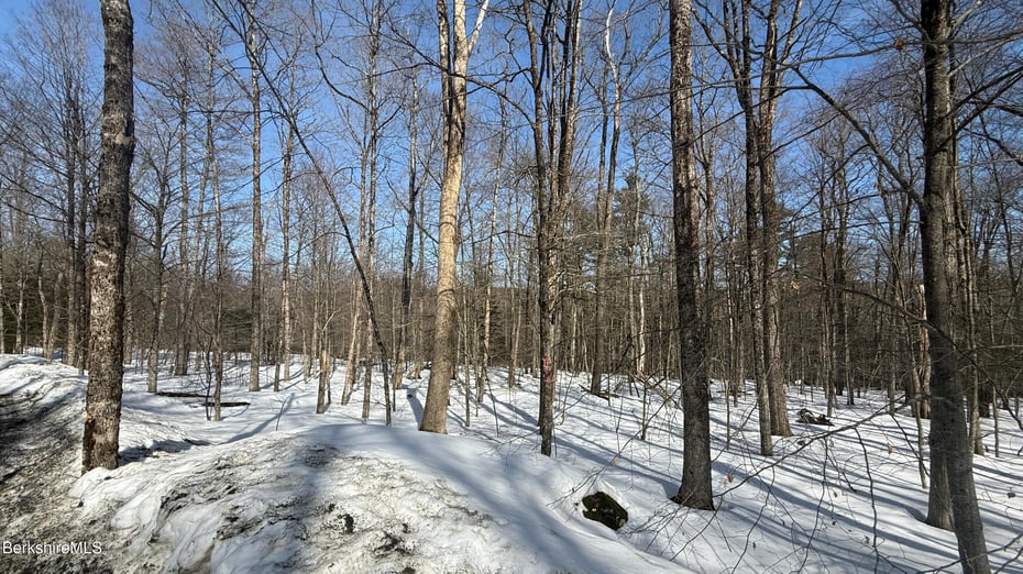 Lot1 Marcy Rd Photo 9