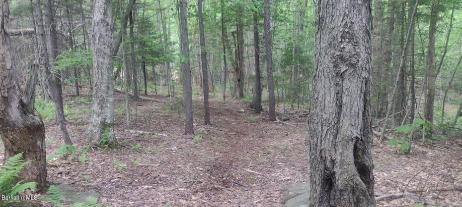 140 Strykers Rd Photo 3