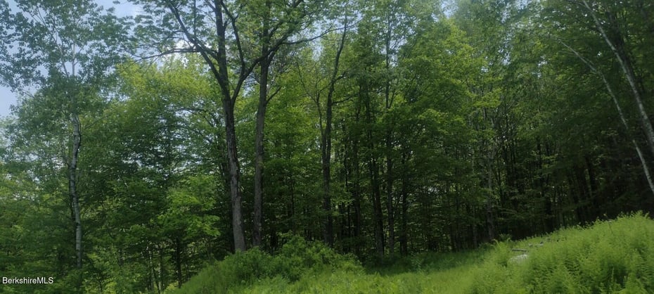 140 Strykers Rd Photo 5